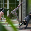 Is Yoga Difficult for Beginners? Tips to Make It Easier